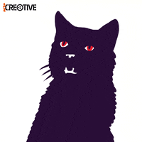 chat noir animation GIF by ARTEfr