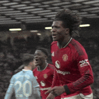 Premier League Celebration GIF by Manchester United