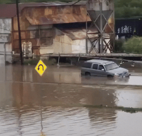 58d4b6a0e8004dd6a499524384e88c9f giphyupload GIF