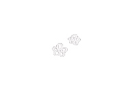 Flower 花 Sticker
