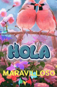 Un Dia Salud GIF by Murcianys LLC
