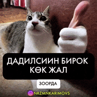Karimovs GIF by Customize iT