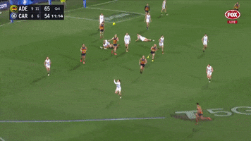 Fogarty GIF by Adelaide Crows
