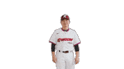Kbo Sticker by Kiwoom Heroes Baseball Club