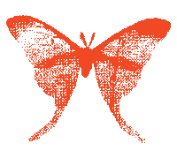 Magic Orange Sticker