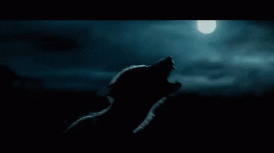 Full Moon GIF