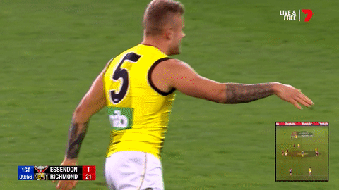 2018 season football GIF by AFL