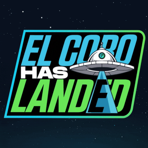 PresidenteCerv giphyupload barbarella cerveza presidente barbarella 2025 GIF