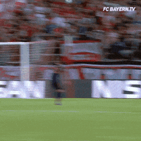 fcbayern football soccer bundesliga futbol GIF