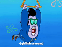 season 8 GIF by SpongeBob SquarePants
