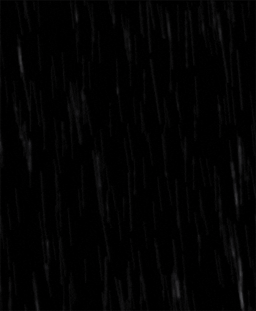 misc GIF by hoppip