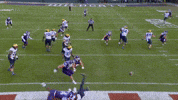 Big Ten Michigan GIF by Northwestern Athletics