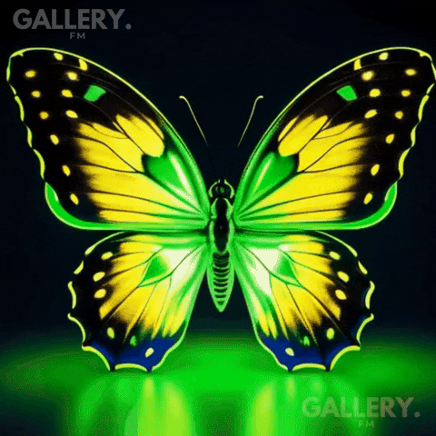 Dance Fun GIF by Gallery.fm