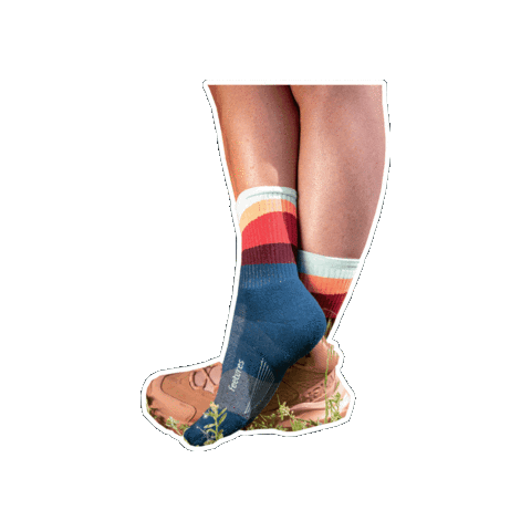 Socks Trail Sticker by Feetures