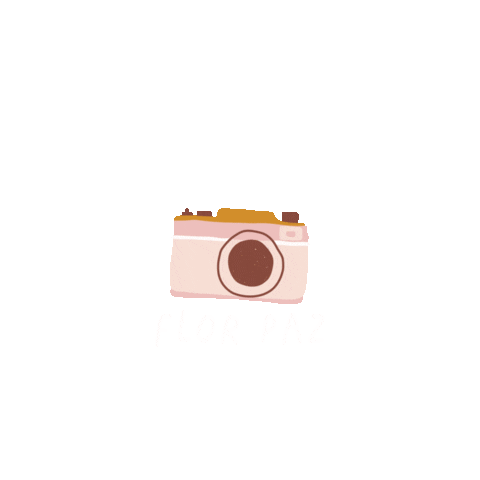 Camera Sticker