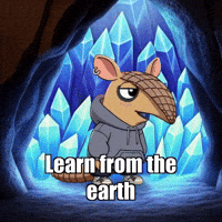 GIF by Chillo Dillo