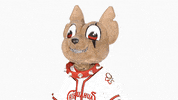 epchihuahuas baseball chihuahua mascots chico GIF