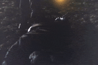 Too Easy Fml GIF by Dani Chase