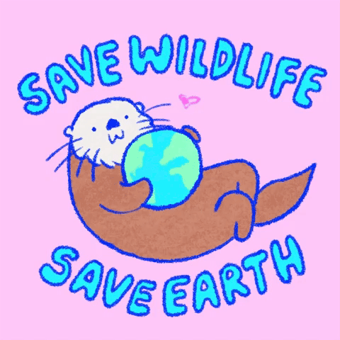 Wildlife