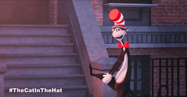 Bill Hader Cat GIF by Warner Bros. Pictures