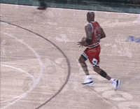 michael jordan bulls GIF
