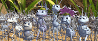 Celebration Applause GIF