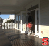 wolfpack GIF by NC State Athletics