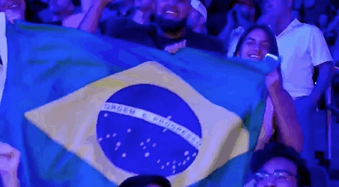 Brazil Flag Sport GIF by UFC