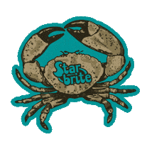 Ocean Fishing Sticker by Star brite