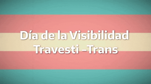 gryamila giphyupload GIF