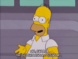 homer simpson episode 13 GIF