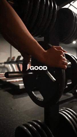Fitness Workout GIF