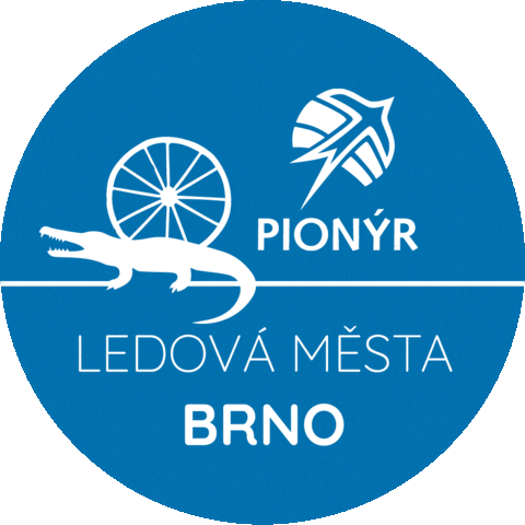 pionyrcz giphyupload pionyr ledová města pionyrcz Sticker