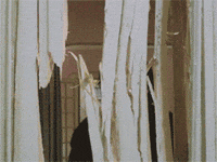 stanley kubrick art GIF by hoppip