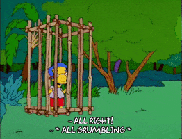 lisa simpson terri mackleberry GIF