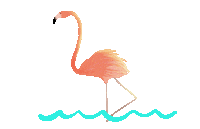 bird ocean Sticker by David Maxine Paper