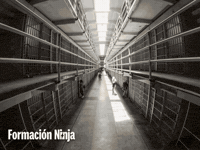 Prison Jail GIF by Formación Ninja
