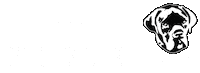 Ryourogue Sticker by Rogue Fitness