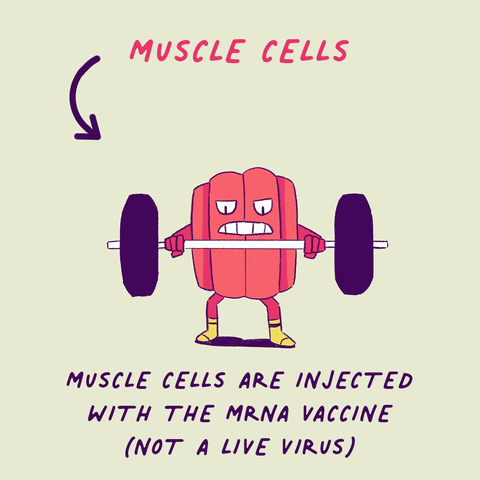 Virus Muscle GIF by Art and Fact