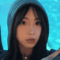 K Pop Omg GIF
