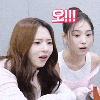 K Pop Omg GIF