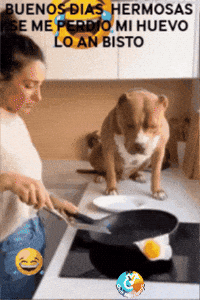 Humor Amigos GIF by Murcianys LLC