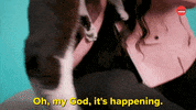 Puppies National Puppy Day GIF by BuzzFeed