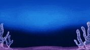 Excited Indie Film GIF