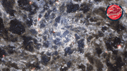 James Webb Nasa GIF by ESA Webb Space Telescope