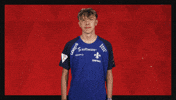 Sv Darmstadt 98 Football GIF by Bundesliga