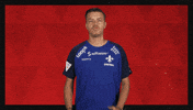 Sv Darmstadt 98 Applause GIF by Bundesliga