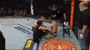 Knockout Win GIF by UFC