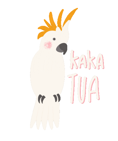 Indonesia Birds Sticker by Hutanituindonesia