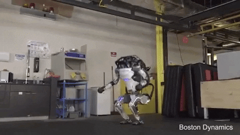 tulsimo giphygifmaker GIF